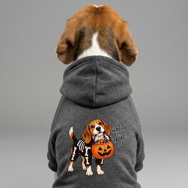 beagle pet sweater