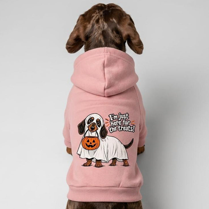 Dachshund Pet Sweater