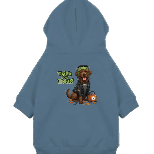 labrador pet sweater