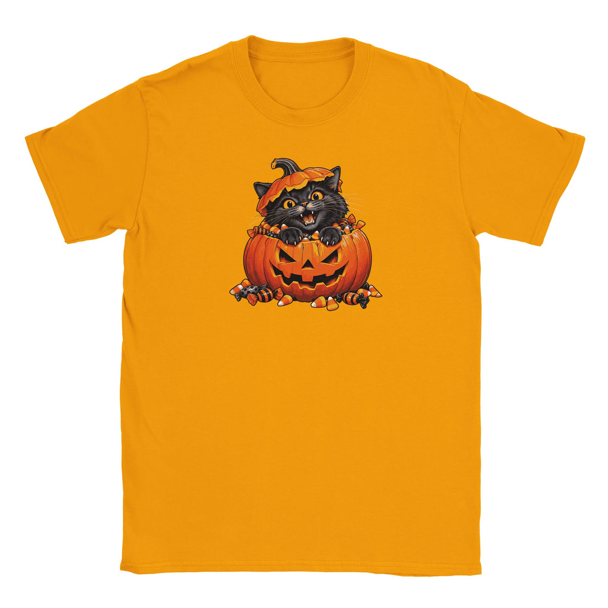halloween pumpkin cat
